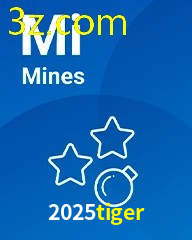 2025TIGER.COM